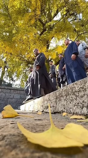 913 reactions · 8 comments | BE EPIC! Start your week on the right Shaolin foot! Be versatile and unrelenting ! Shi Yan Cen! | Shaolin Kung Fu Guan | Facebook