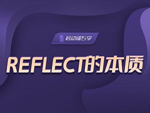 Reflect的本质【渡一教育】