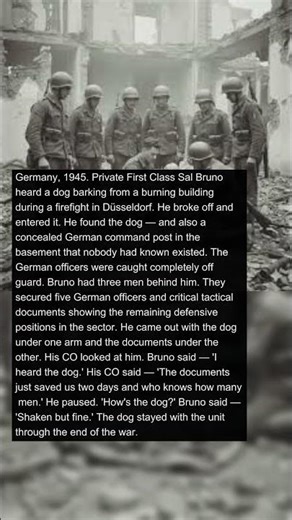 Soldier Ran Into a Building to Rescue a Trapped Dog — Then Won the Battle Because of It |