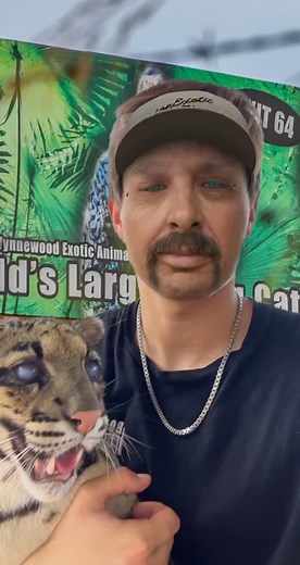 Joe Exotic vs Carol: The Cat Battle