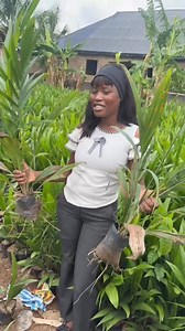 3.3K reactions · 75 shares | Most farmers cannot tell the difference...