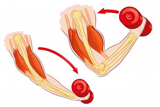 Treating Muscle Atrophy with TENS and EMS