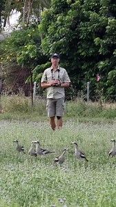 There are 400 species of birds in Cairns and this weekend is the perfect opportunity to take part in a citizen science project to scope out a few. ➡️ https://bit.ly/3FqYykp | Cairns Post