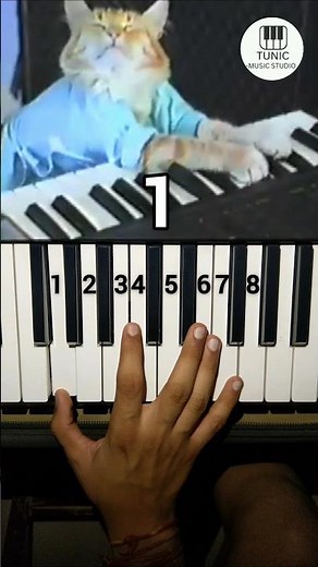 Keyboard Cat Piano Tutorial #shorts