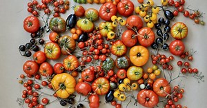 Understanding the life span of your crops is key to a vegetable garden