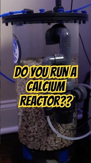Is a Calcium Reactor Worth It for Your Reef Tank?”