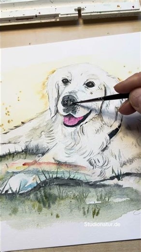 Dog watercolour paintings |AQUARELL Hunde #art #fellnase #watercolor
