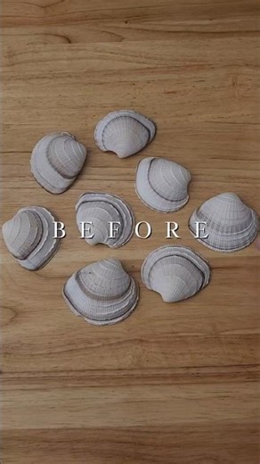 I am *OBSESSED* with this shell art transformation ✨️🌊 #shorts #shells #shellart #diy #coastaldecor