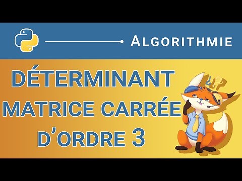 [Algorithme] - 145. Calculer le déterminant d'une matrice carrée d'ordre 3 [Python]