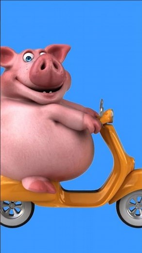 Funny Pig Riding a Motorcycle Wobbling Around! 🐷🏍️