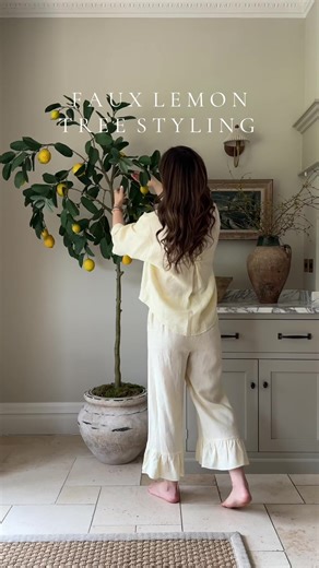 Realistic Lemon Tree Styling Ideas for Summer