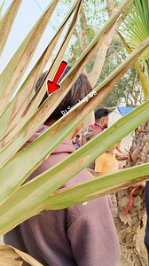 Power of lion bass 🦁🔥😱 Maa mansha pro #reelsfbシ #followrs #virals #everyone #highlights #amplifier #LIONBASS #maamanshapro | Dj Suvadeep WB