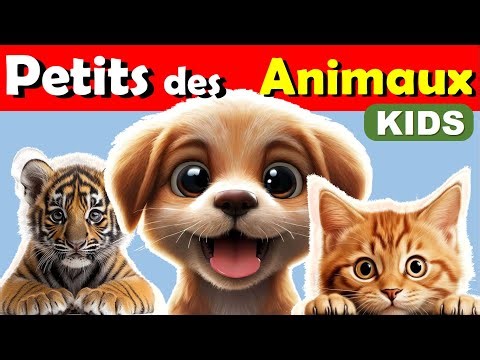 Apprendre LES BÉBÉS ANIMAUX 🐼🦊 | Chiot - Chaton ... | Amazing World Of Young Animals.