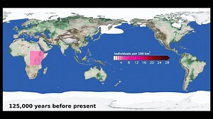 The pattern of dispersal of humans out of Africa occurred in four distinct waves over the past 125,000 years, reports a study published in Nature. These migration events were driven by climate change connected to variations in Earth’s orbit. Read the paper here: http://go.nature.com/2dbt2bH | Nature Portfolio