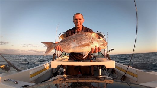 Fishing for pink snapper with dolphins