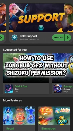 How to use ZongHub GFX Injector