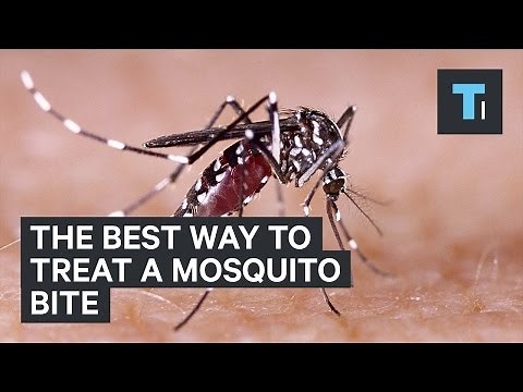 The best way to treat a mosquito bite