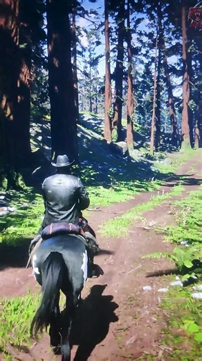 I Love RDR2 So Much... Sometimes I Just Walk Across the Entire Map ❤️