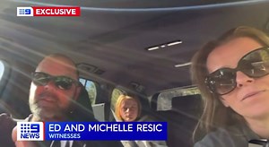 3.5K views · 115 reactions | LUGARNO | Dog Attack - 9 July 2023 A 34-year-old woman walking her dog along a popular track in Lugarno is suffering severe injuries after being viciously attacked by two Irish Wolfhounds, forcing her to flee into dangerous, thick mud near the Georges River.  9NEWS SYDNEY | I Grew Up in Mortdale 2223 | Facebook