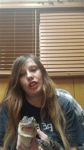 Fun Facts With WTB: American Alligator Antibiotic Blood