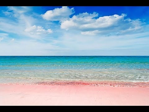 The Most Gorgeous Pink Sand Beaches in the World | Nicest Beaches in the World