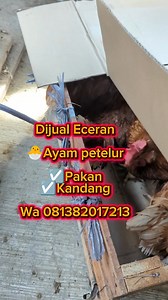 *Ayam Petelur Segar dan Sehat! 🐓* Ingin memiliki ayam petelur yang segar dan sehat untuk dikonsumsi? Kami memiliki solusi untuk Anda! *Ayam Petelur Kami:* - Dipelihara dengan pakan yang berkualitas tinggi - Diberi perawatan yang baik dan sehat - Telur yang dihasilkan segar dan berkualitas tinggi *Keuntungan:* - Telur yang segar dan sehat - Ayam yang dipelihara dengan baik dan sehat - Harga yang kompetitif *Order Sekarang!* Hubungi kami untuk memesan ayam petelur atau telur ayam petelur. Kami si