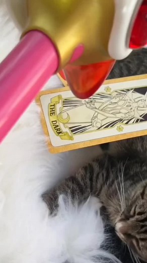 sakuralovemagic on TikTok