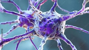 Nerve cells interacting in a microscopic setting observed under high magnification