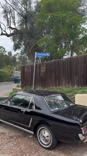🖤 #65mustang #classicmustang #macdemarco
