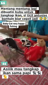 5.9K views · 100 reactions | Baby Cat very happy fishing 藍 #cat #cute #fypppp #pokemon #sale | Adawiyah Robiatul | Facebook