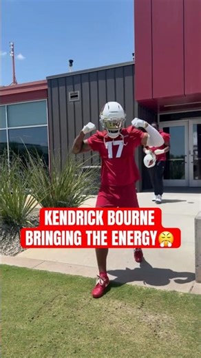 Bring the dogs out #nfl #football #azcardinals
