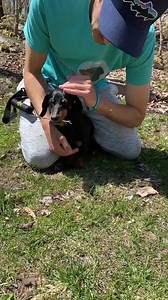 365K views · 10K reactions | UPDATE: It’s been 6 days since surgery...