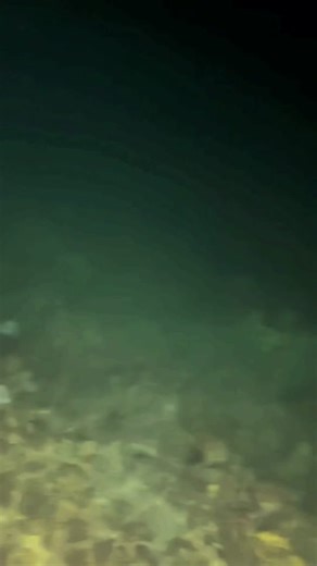 TikTok · Nauti Escape