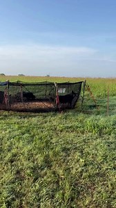 Yes. Wild pigs are opportunistic predators, and newborn fawns are easy targets. Trapping isn’t just about land. It’s about protecting wildlife too. Run with the proven, patented, original net trap at pigbrig.com #FeralHogs #WildPigControl #PigTrapping #LandManagement #HogProblems #InvasiveSpecies #RanchLife #FarmSmart #ProvenTrapSystem #OriginalNetTrap #PigBrig #TrappingTips #CatchMorePigs | Pig Brig Trap Systems
