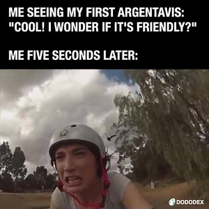 87K views · 615 reactions | When you run into your first 礪 Argentavis in ARK: Survival Evolved.  | Dododex | Facebook
