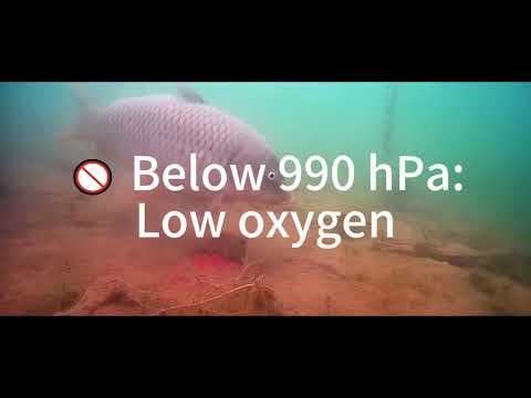 Barometer Secrets for Fishing: The Pressure Curve That Tells You When Fish Will Bite!