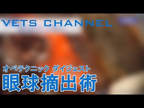 【獣医師向け】眼球摘出術