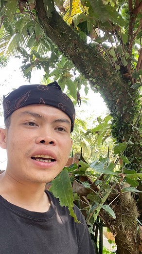 Kangge budak anu tacan tiasa nyarios atawa balelol keneh | ARAFI AA SUNDA