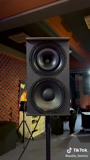 High-Quality 12 Inch Double Speaker for Professional Sound Systems