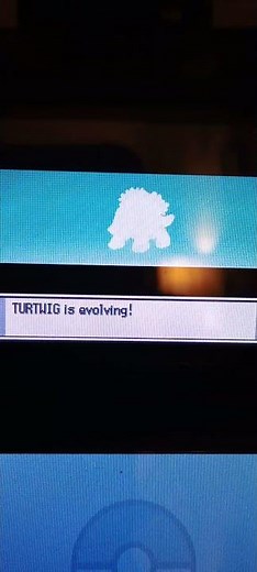 Pokemon Pearl Except