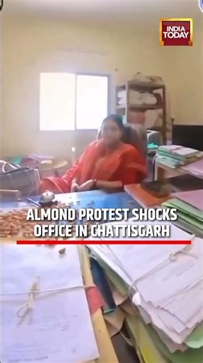 Chhattisgarh Viral Protest: Almonds Thrown at Govt Office Desk #chattisgarh #viral #indianews