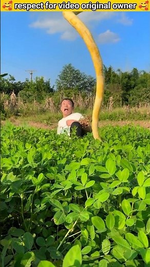 आज तो तुम चंपा दादी राजू को डरा ही दिया