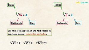 Raíces. Raíces cuadradas. Matemáticas 6º Primaria