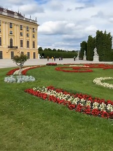 12K views · 325 reactions | "Vienna is simply spectacular this afternoon, at Schönbrunn Palace with Viking." —Viking Ambassador-at-Large Jean G. currently on our Danube Waltz itinerary Won't you join us on a voyage along the Danube River? https://bit.ly/39XI4UC | Viking | Facebook