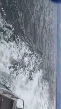 running net ugashik 2022 sockeye red salmon season in Alaska bristol bay #elonmusk #fishingvideo 1