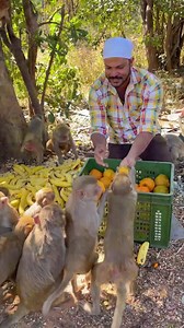 335K views · 441 reactions | From bottom of Our ❤ Heart we THANK and SALUTE Ammucare Charitable Trust for Sponsoring to this EVENT and giving us the opportunity to serve Delicious Food items 300 + Monkeys and satisfying their hungry stomachs. GOD Bless all Your Amazing Team Members with Loads of Success. Keep Serving the Humanity and Country. Jai Hind! | Serve Needy | Facebook