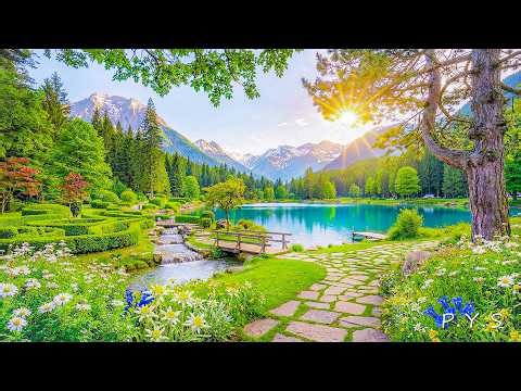 Music Therapy for Anxiety Relief 🍀 Heal Your Nervous System and Calm Your Mind