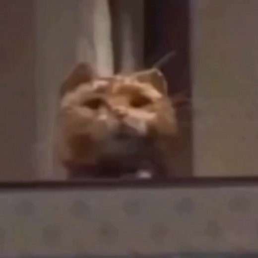 *When the class is about to end but that one Einstein kid have a question* Me: | Foolish Vibes.