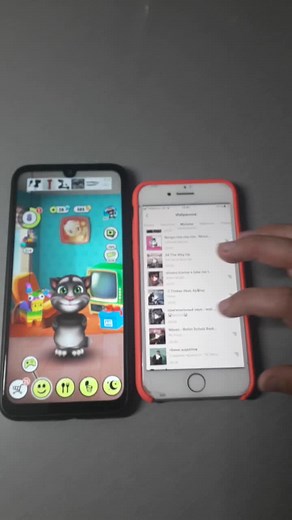 Кот Том слушает трек и поёт его!❤️👍 #tom #cat #кот #tom_drom #котик #🐱🐱🐱 #🐱💨 #котик🐱🐈 #песня #музыкант