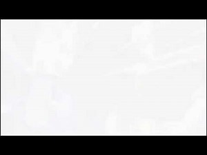 Android 17 and 18 Kill Dr. Gero